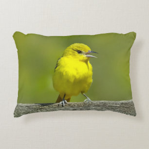 Almofada Decorativa Orchard Oriole - Fotografia Original