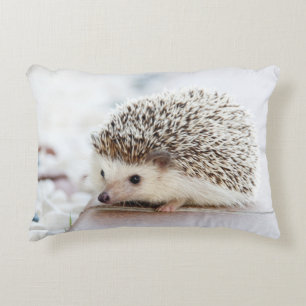 Almofada Decorativa Ouriço bonito do bebê