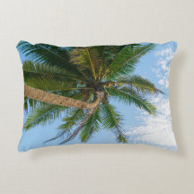 Palmeira Tropical de Coco sob Céu Azul
