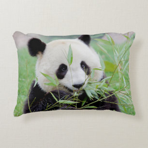 Almofada Decorativa Panda gigante da foto, animais 0322.
