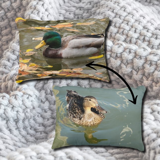 Almofada Decorativa Patos-reais na água em outono (Criador carregado)