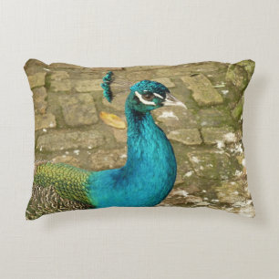 Almofada Decorativa Pavão Belo Pássaro Azul Fotografia