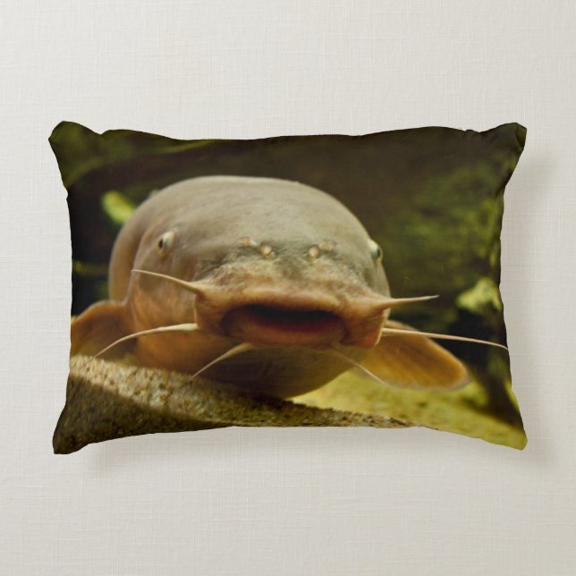 Almofada Decorativa Peixe-gato elétrico (Frente)