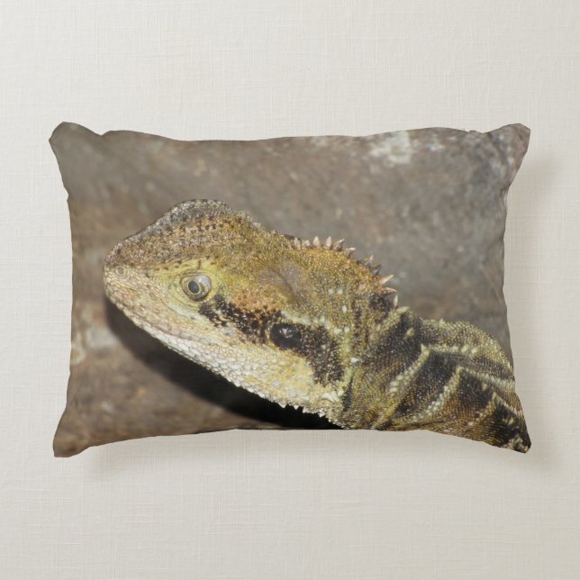 Almofada Decorativa pílula (Frente)