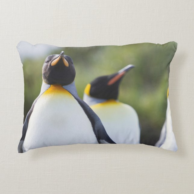 Almofada Decorativa Pinguins-rei (Frente)