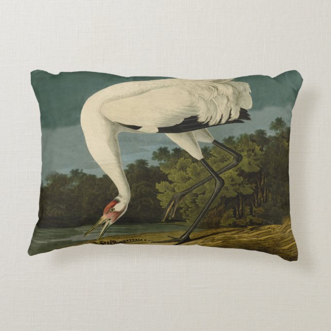 Almofada Decorativa Pintura de pássaros Audubon Crane Whoping (Verso)