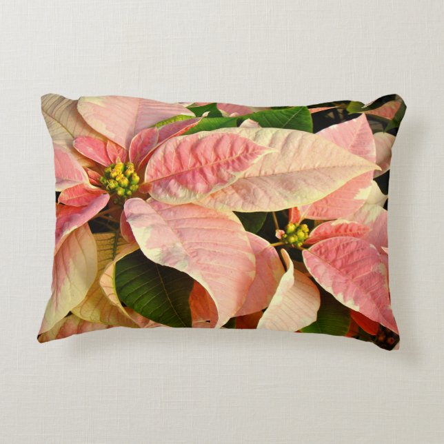 Almofada Decorativa Poinsettia Rosa (Verso)