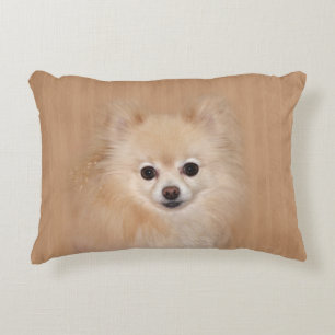 Almofada Decorativa Pomeranian enfrenta