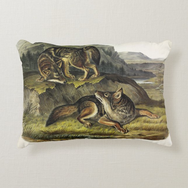 Almofada Decorativa Prairie Wolf (Coyote) dos Quadrupeds de Audubon (Frente)