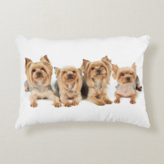 Almofada Decorativa Quatro yorkies