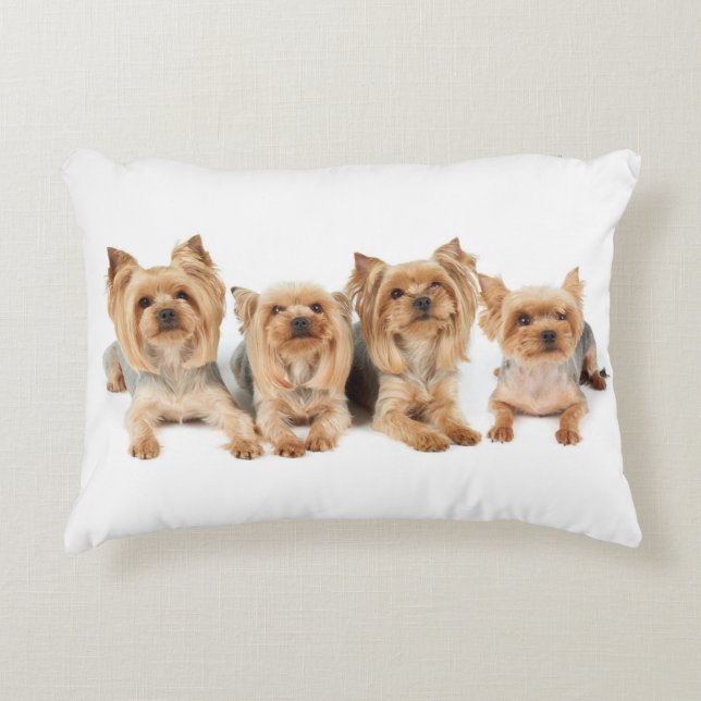 Almofada Decorativa Quatro yorkies (Frente)