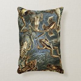 Almofada Decorativa Rãs e Sapos Vintage Batrachia por Ernst Haeckel