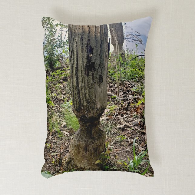 Almofada Decorativa Rastreio de castores do Metropark Oakwoods (Criador carregado)