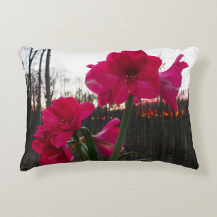 Almofada Decorativa Red Amaryllis e Winter Sunrise