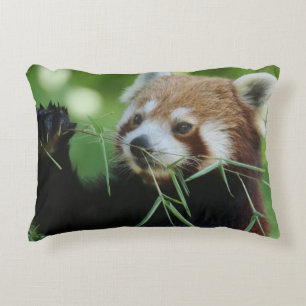 Almofada Decorativa RedPanda 002