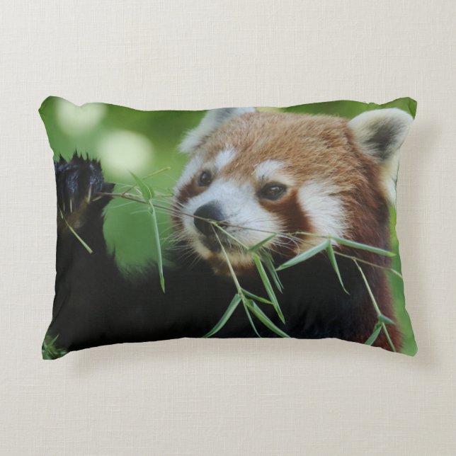 Almofada Decorativa RedPanda 002 (Frente)