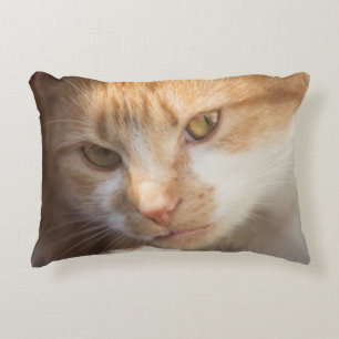 Almofada Decorativa Rosto Gato Bonito em um