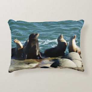 Almofada Decorativa San Diego Sea Lions