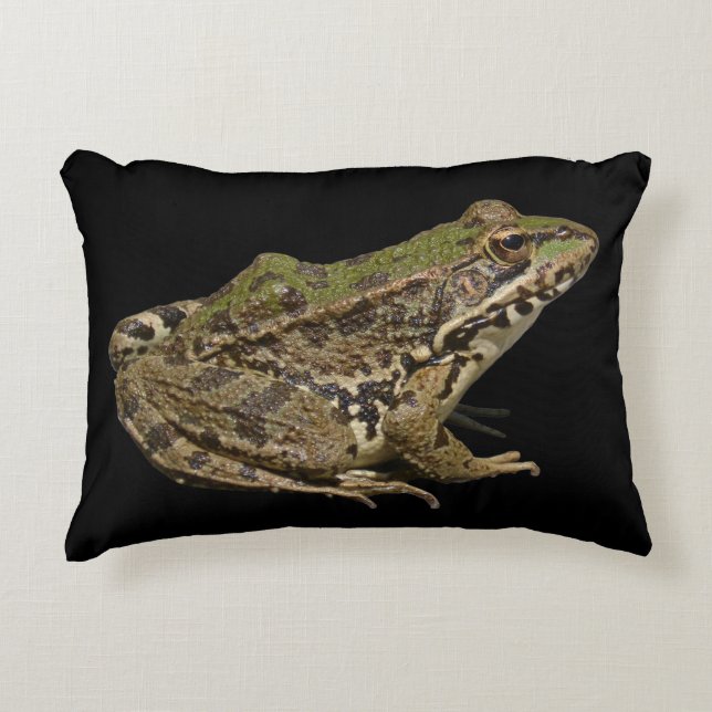 Almofada Decorativa Sapo (Frente)