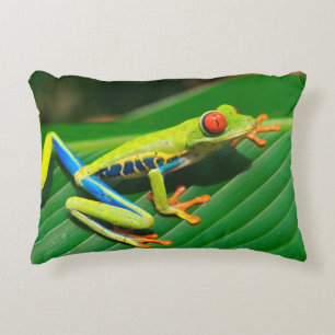Almofada Decorativa Sapo de árvore vermelho-eyed do verde tropical da