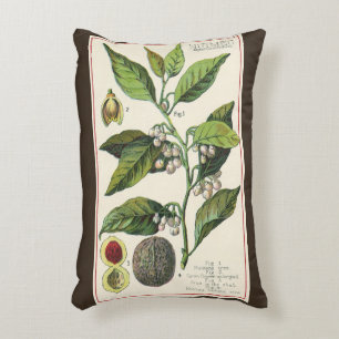 Almofada Decorativa Sementes de Fruta de Planta de Noz-moscada Vintage