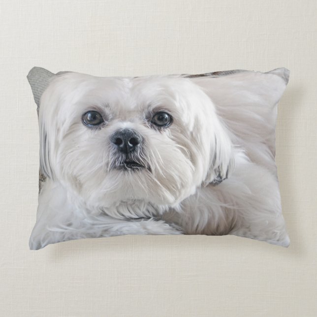 Almofada Decorativa Shih Tzu (Frente)