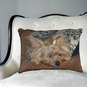 Almofada Decorativa Sleepy Adorable Yorkshire Terrier Puppy