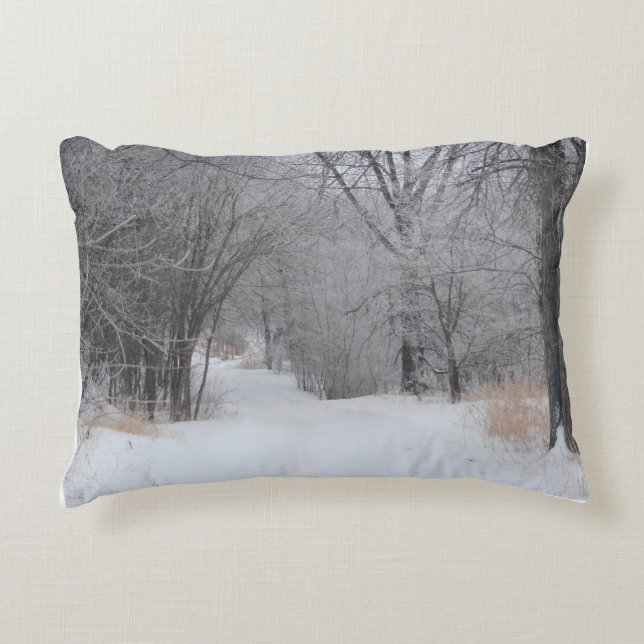 Almofada Decorativa Solidão de Inverno (Frente)