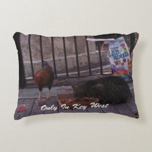 Almofada Decorativa "Somente gato de Key West" & travesseiro do galo