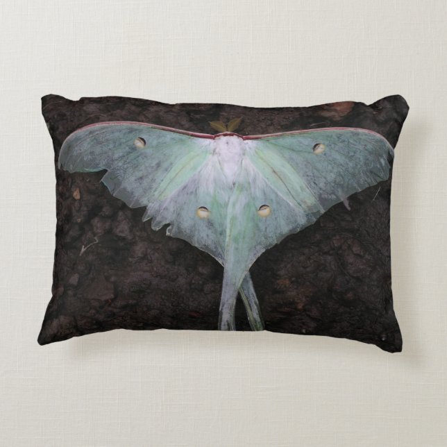 Almofada Decorativa sonho de fantasia de fada da borboleta de luna mot (Verso)