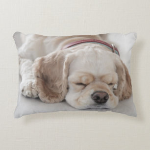 Almofada Decorativa Sono do cão de cocker spaniel