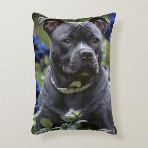 Almofada Decorativa Staffordshire Bull Terrier In Blue Rosa Garden