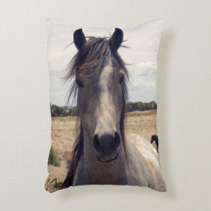 Almofada Decorativa Star The Arab Pony,