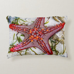 Almofada Decorativa Starfish, Zanzibar, Tanzânia