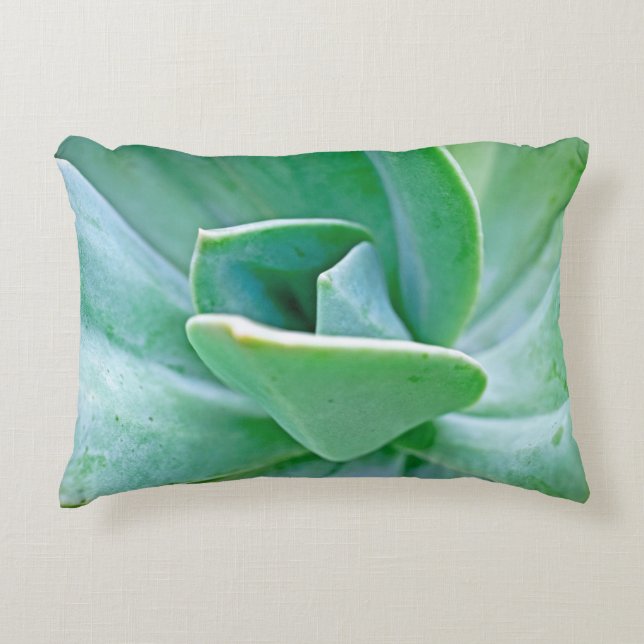 Almofada Decorativa Suculent Swirl (Frente)
