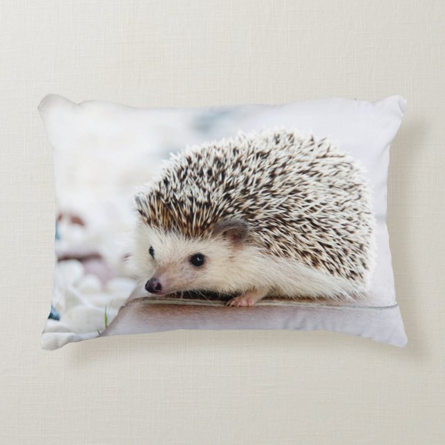 Almofada Decorativa Sweet Baby Hedgehog (Frente)