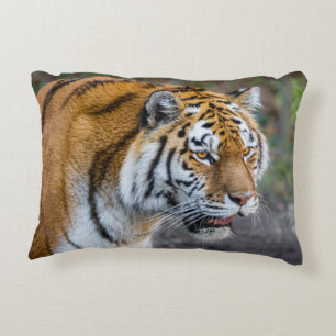 Almofada Decorativa Tíger Amur