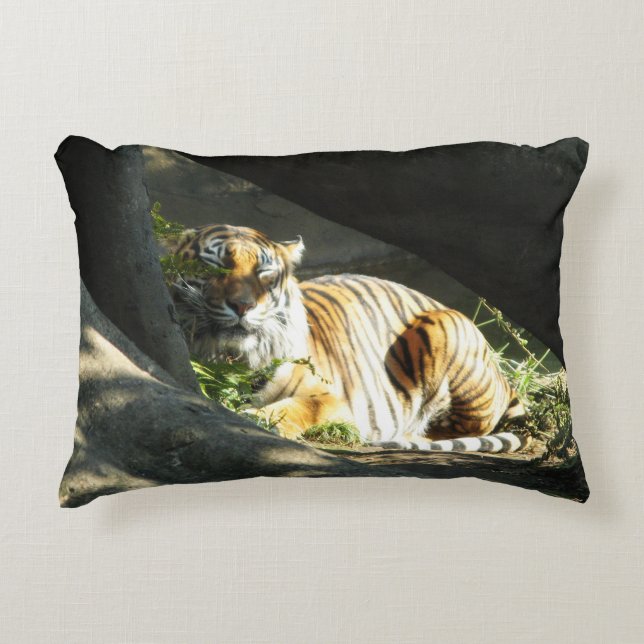 Almofada Decorativa Tiger Catnap (Frente)