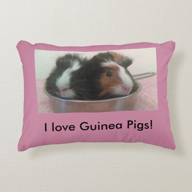 Almofada Decorativa travesseiro bonito da cobaia (Frente)