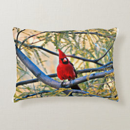 Almofada Decorativa Travesseiro cardinal "visitante do céu "