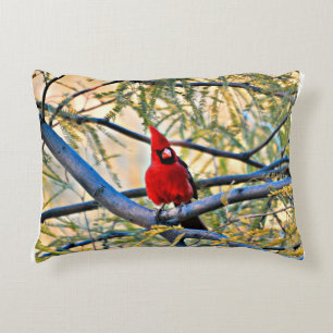Almofada Decorativa Travesseiro cardinal "visitante do céu "