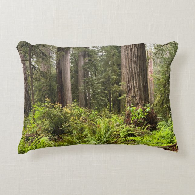 Almofada Decorativa Travesseiro com Sequoias (Frente)