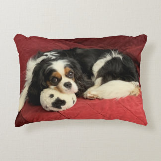 Almofada Decorativa Travesseiro de Destaque Cavalier King Charles Span