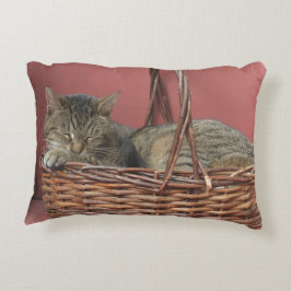 Almofada Decorativa Travesseiro de Gatinho Kozy