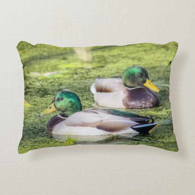Almofada Decorativa Travesseiro decorativo Mallard Ducks (Frente)