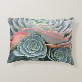 Almofada Decorativa Travesseiro exterior do Succulent, Echeverias azul