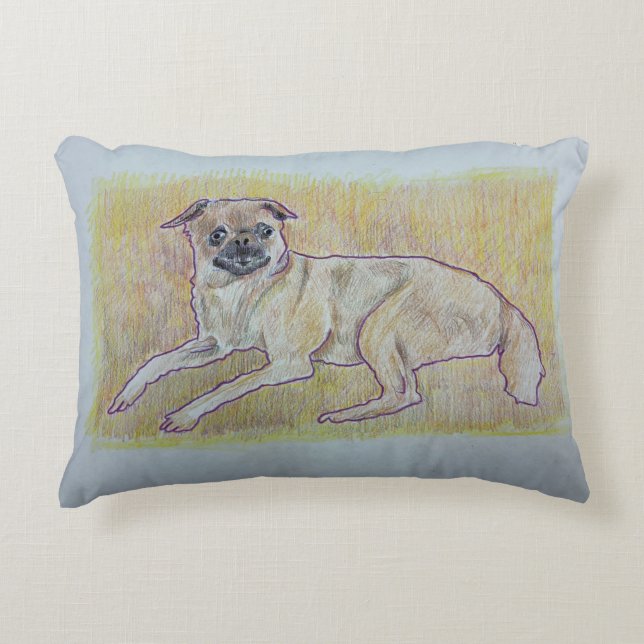 Almofada Decorativa Travesseiro Frankie Accent (Frente)