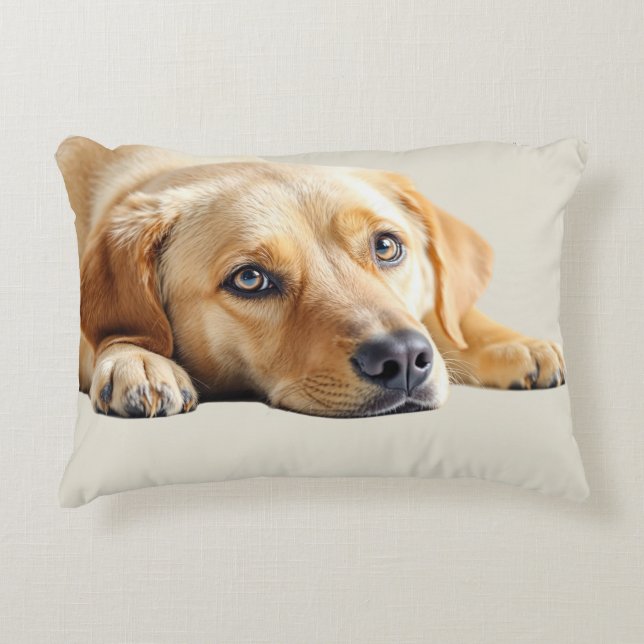 Almofada Decorativa Travesseiro Labrador Dourado  (Frente)