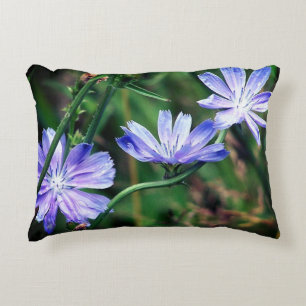 Almofada Decorativa Trio de Flor de Chicória Selvagem Azul