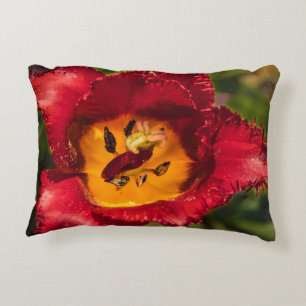 Almofada Decorativa tulipa vermelha